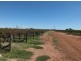Farm 564A Keary Road, Bilbul – Bilbul Orchard Farm, Bilbul NSW 2680