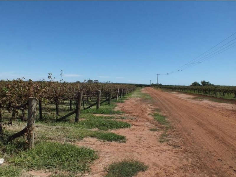 Farm 564A Keary Road, Bilbul – Bilbul Orchard Farm, Bilbul NSW 2680