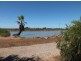 Farm 564A Keary Road, Bilbul – Bilbul Orchard Farm, Bilbul NSW 2680