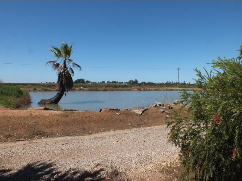 Farm 564A Keary Road, Bilbul – Bilbul Orchard Farm, Bilbul NSW 2680