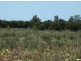 Farm 564A Keary Road, Bilbul – Bilbul Orchard Farm, Bilbul NSW 2680