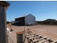 Farm 564A Keary Road, Bilbul – Bilbul Orchard Farm, Bilbul NSW 2680