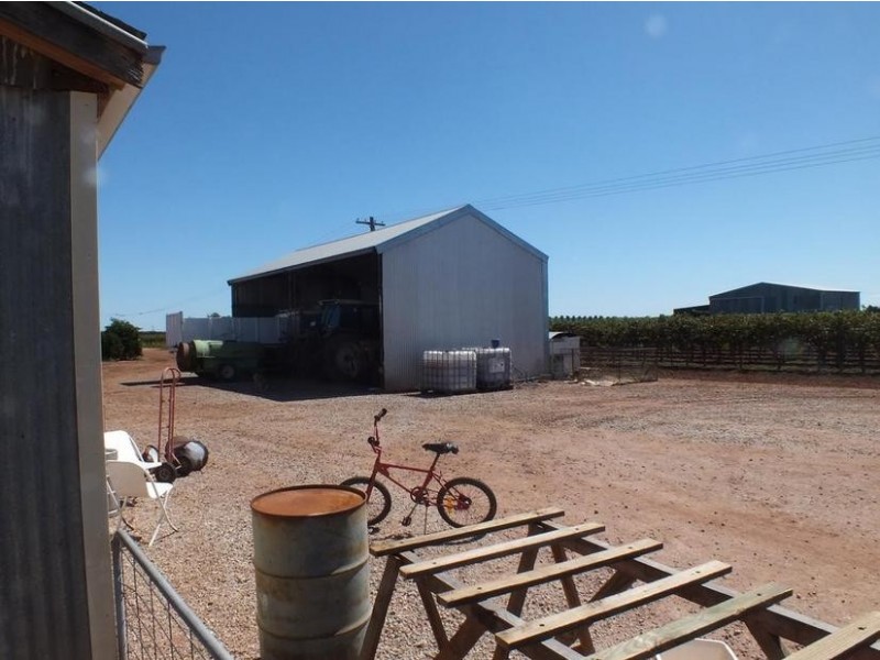 Farm 564A Keary Road, Bilbul – Bilbul Orchard Farm, Bilbul NSW 2680
