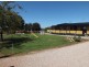 Farm 564A Keary Road, Bilbul – Bilbul Orchard Farm, Bilbul NSW 2680