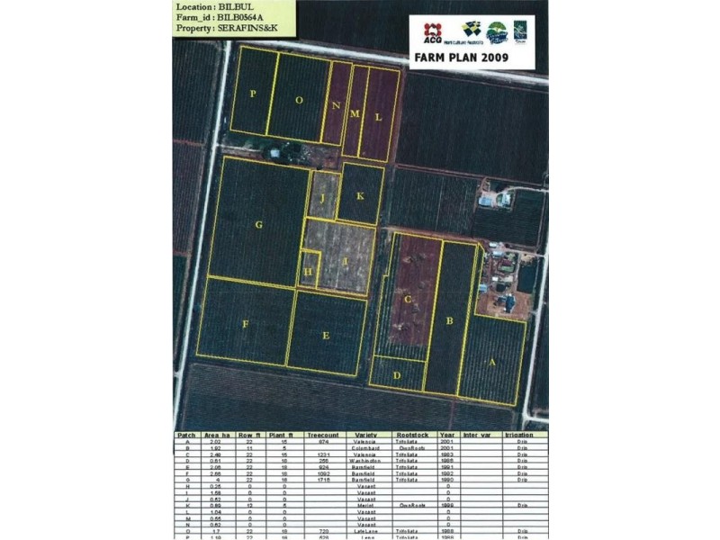 Farm 564A Keary Road, Bilbul – Bilbul Orchard Farm, Bilbul NSW 2680