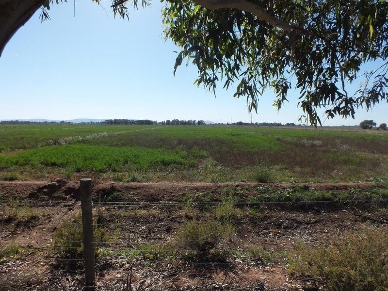 Farm 1444C Burley Griffin Way, Bilbul NSW 2680