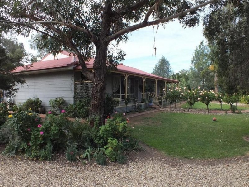 31 McAlister Street, Darlington Point NSW 2706