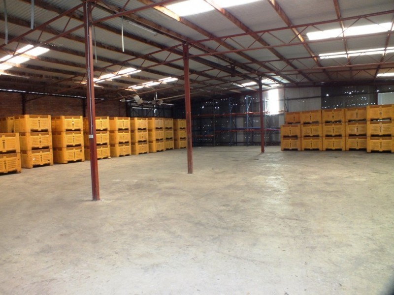 26 Collier Street, Griffith NSW 2680