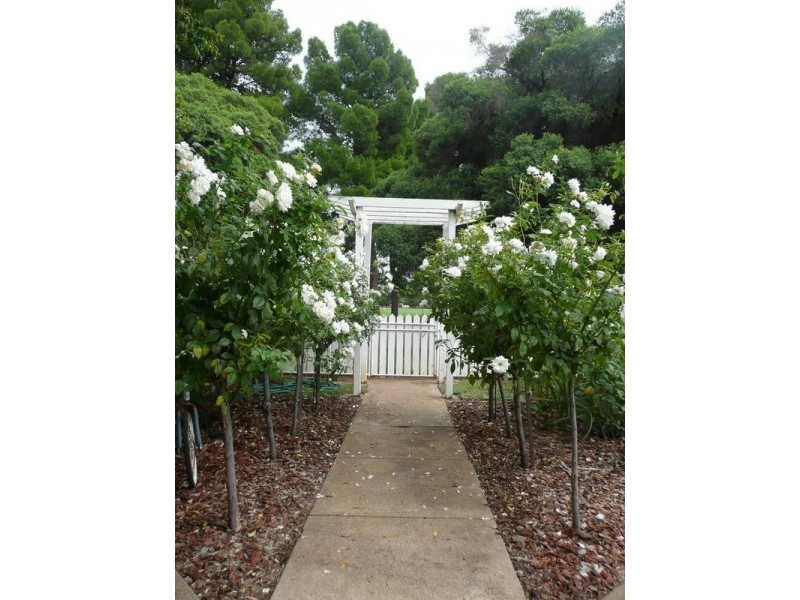 33 Groongal Avenue, Griffith NSW 2680