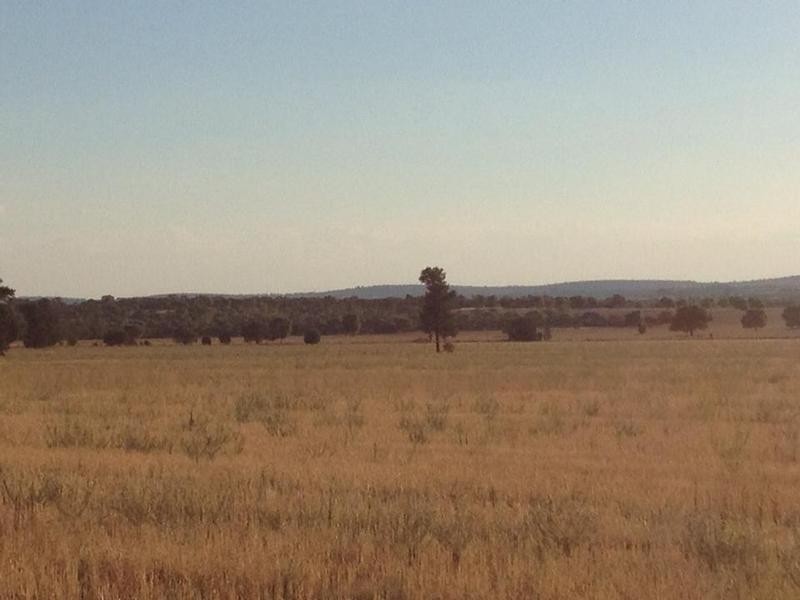 Lot 1628,  Quarry Road, Yenda NSW 2681