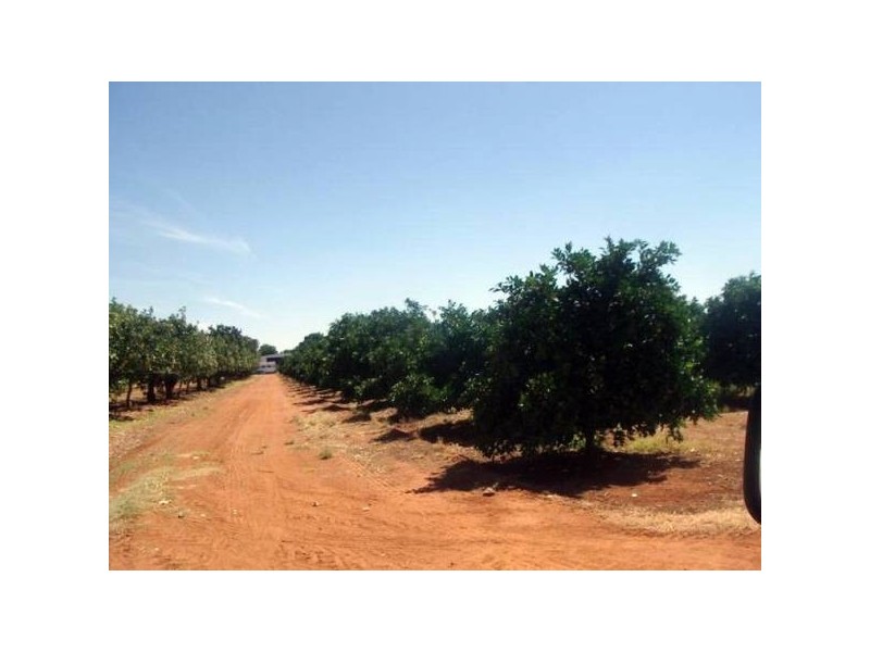 9 Jardines Road, Hillston NSW 2675