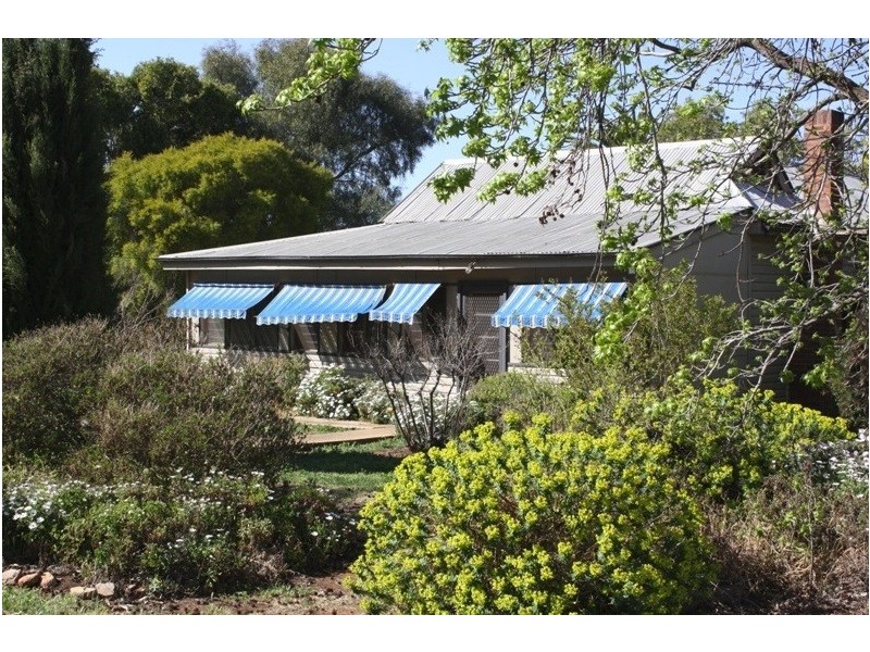 16 Merrigal Street, Griffith NSW 2680