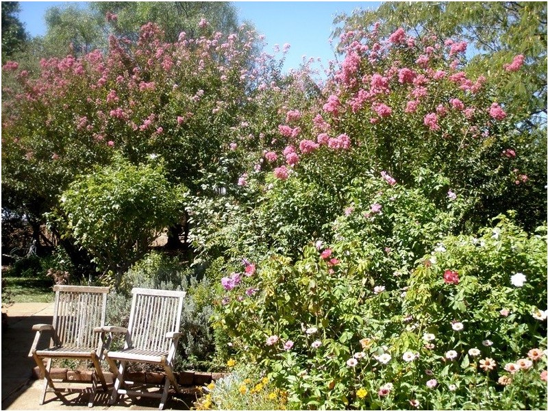 16 Merrigal Street, Griffith NSW 2680