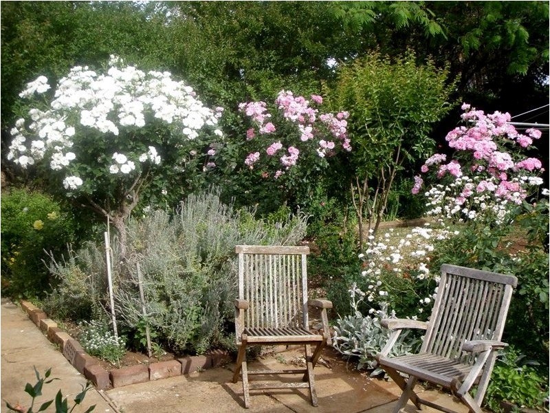 16 Merrigal Street, Griffith NSW 2680