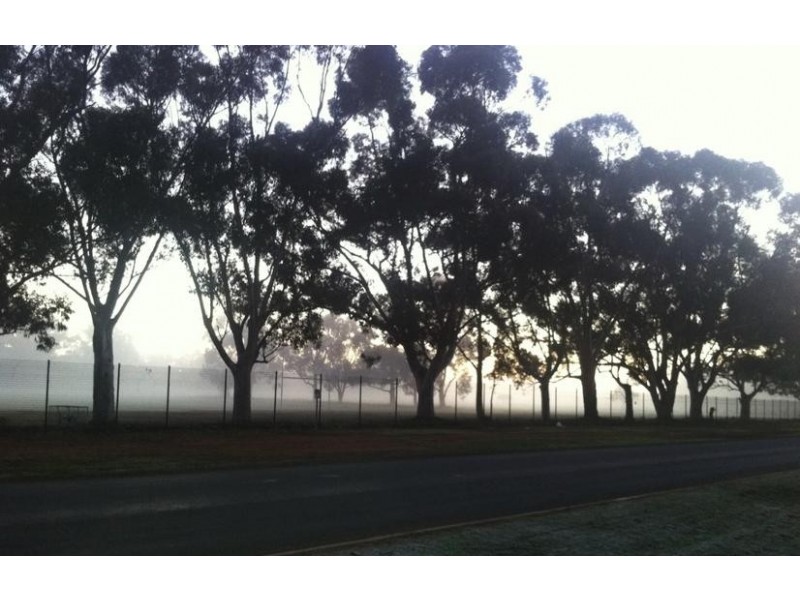 16 Merrigal Street, Griffith NSW 2680