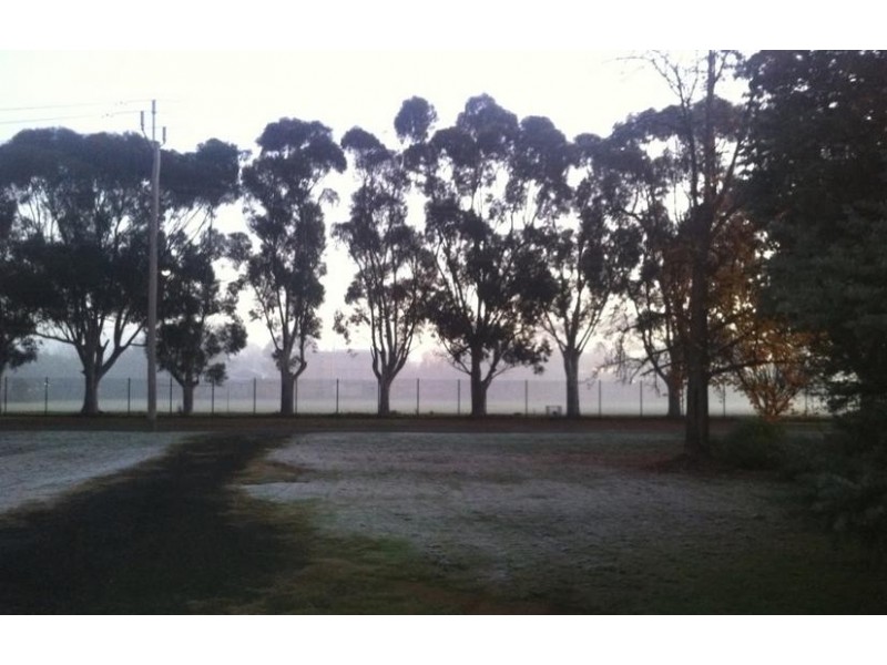 16 Merrigal Street, Griffith NSW 2680