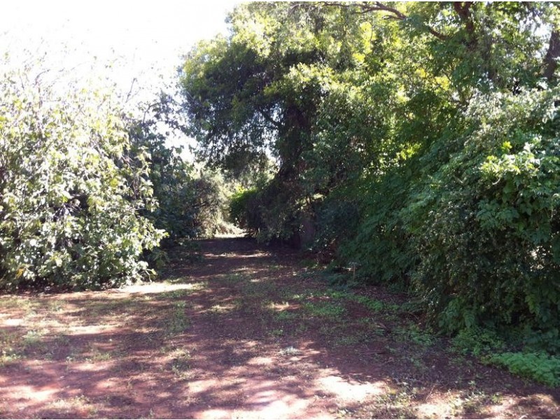 16 Merrigal Street, Griffith NSW 2680