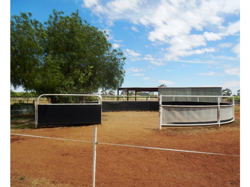Farm 2248 Curran Road, Yenda NSW 2681