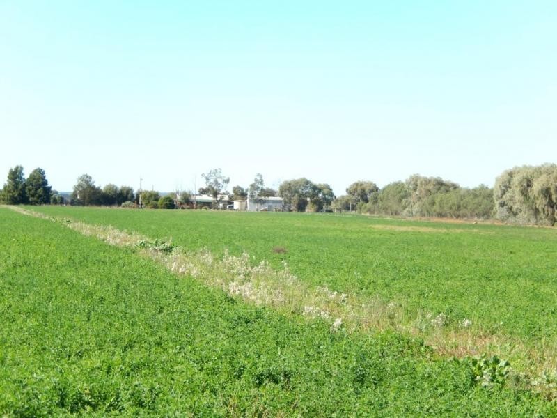 Farm 5A Burcher Road, Widgelli NSW 2680