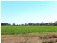 Farm 5A Burcher Road, Widgelli NSW 2680