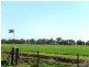 Farm 5A Burcher Road, Widgelli NSW 2680