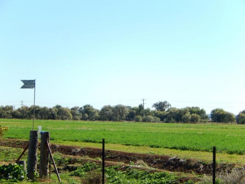 Farm 5A Burcher Road, Widgelli NSW 2680
