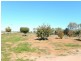 Farm 5A Burcher Road, Widgelli NSW 2680