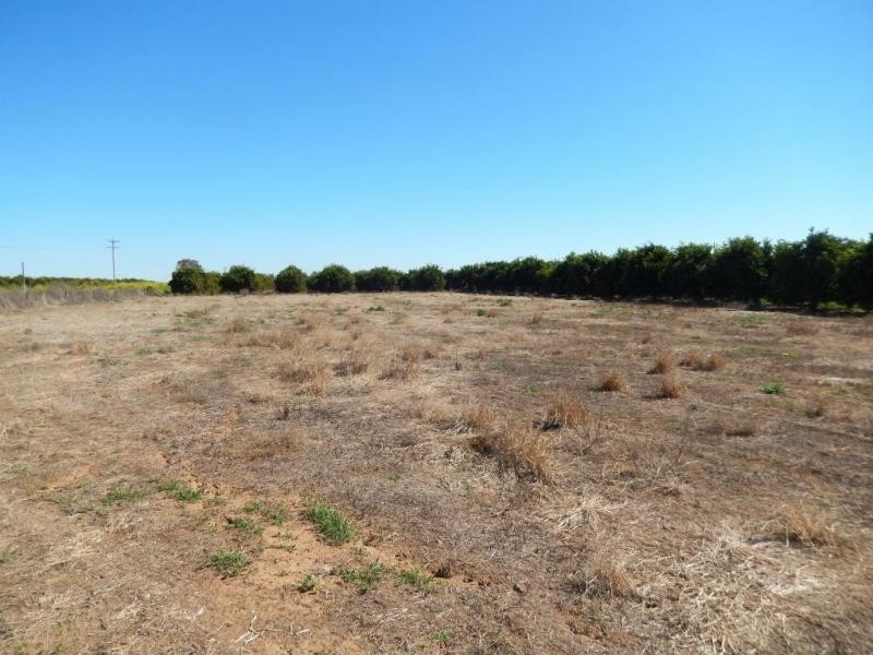 53 Bob Irvin Road, Hanwood NSW 2680