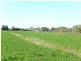 Widgelli NSW 2680
