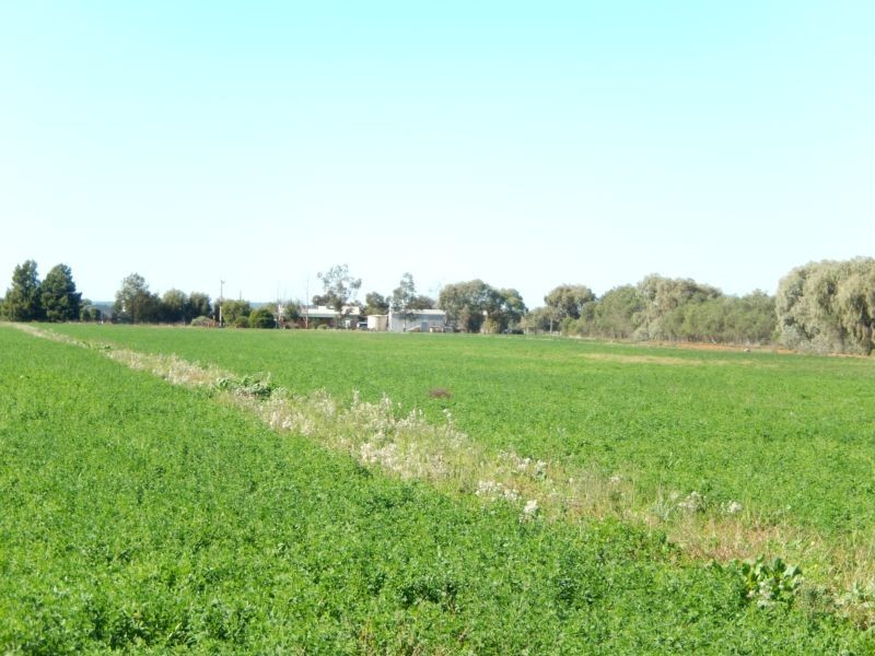 Widgelli NSW 2680
