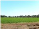Widgelli NSW 2680
