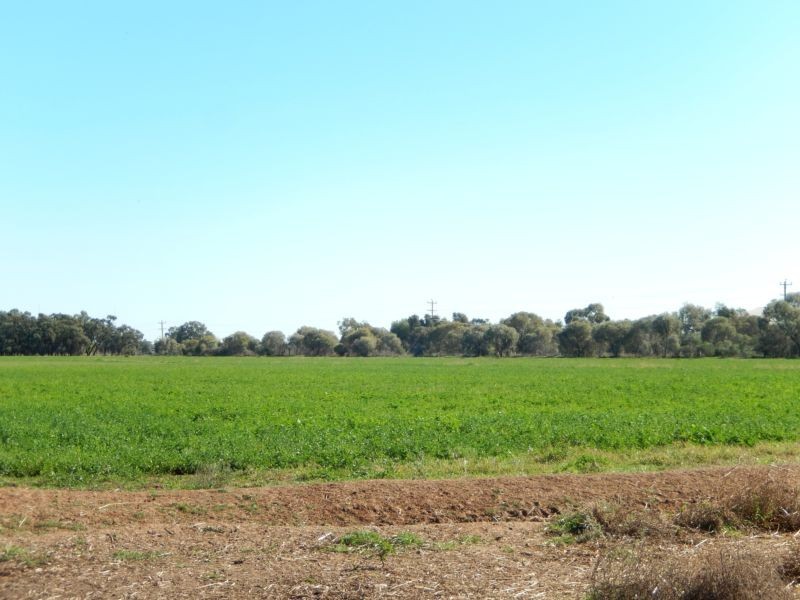 Widgelli NSW 2680