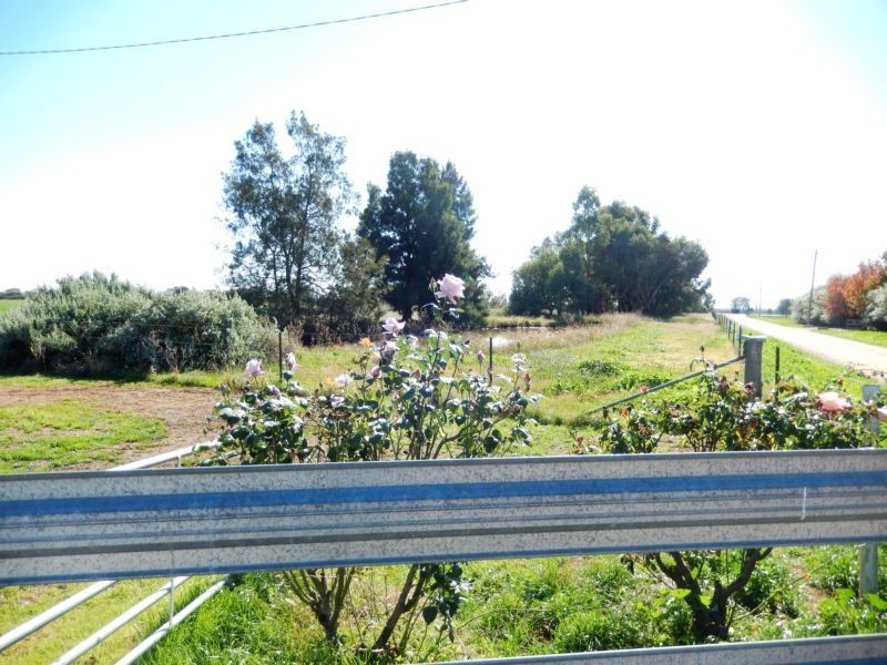 Widgelli NSW 2680
