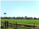 Widgelli NSW 2680