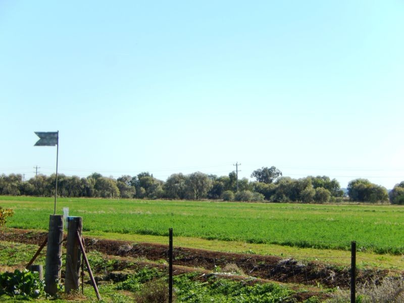 Widgelli NSW 2680