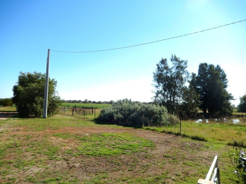 Widgelli NSW 2680