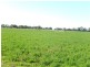 Widgelli NSW 2680