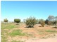 Widgelli NSW 2680