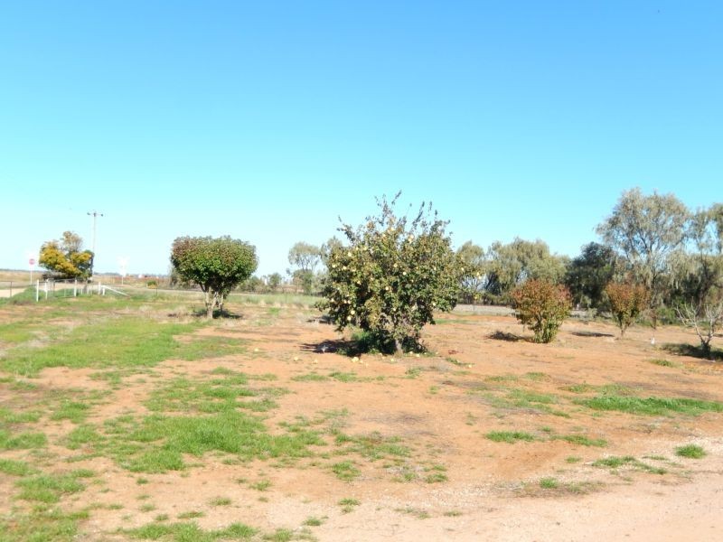 Widgelli NSW 2680