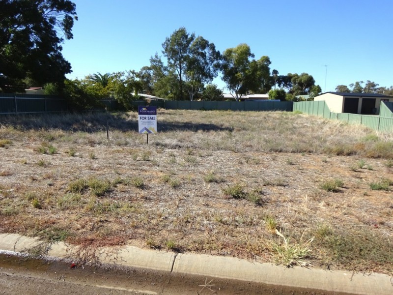 69 Barwidgee Boulevard, Darlington Point NSW 2706