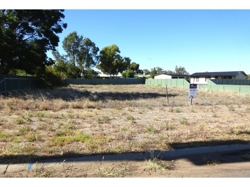 69 Barwidgee Boulevard, Darlington Point NSW 2706