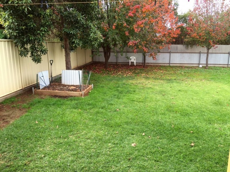 53 Holmes Crescent, Griffith NSW 2680