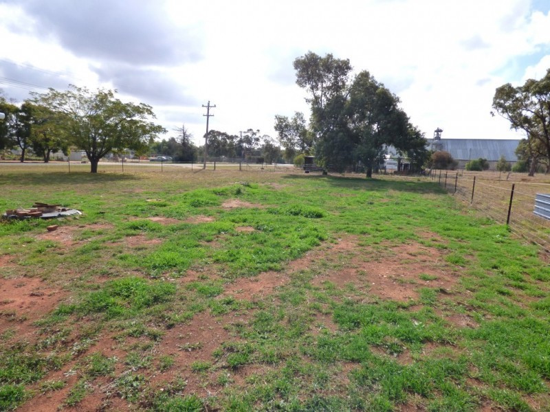 31 Bendee Street, Barellan NSW 2665