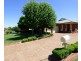 13 Albion Grove Crescent, Griffith NSW 2680