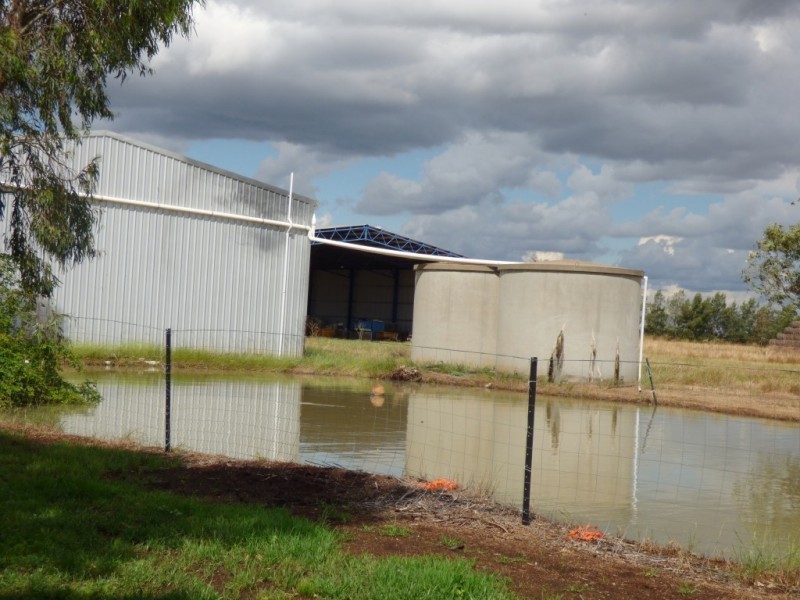 2675 Low Road & 258 Savage Road, Yoogali NSW 2680