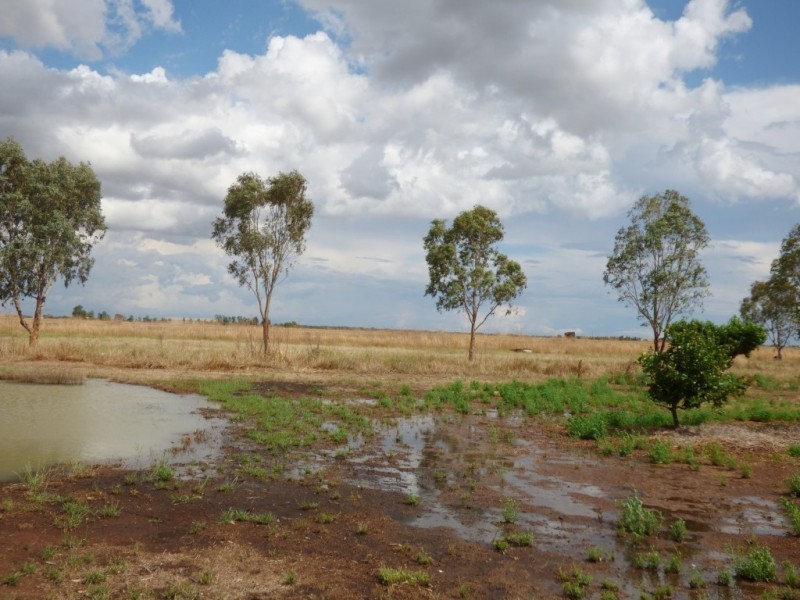 2675 Low Road & 258 Savage Road, Yoogali NSW 2680