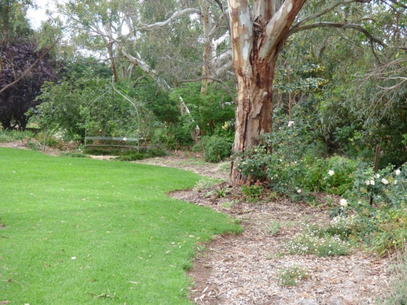 2675 Low Road & 258 Savage Road, Yoogali NSW 2680