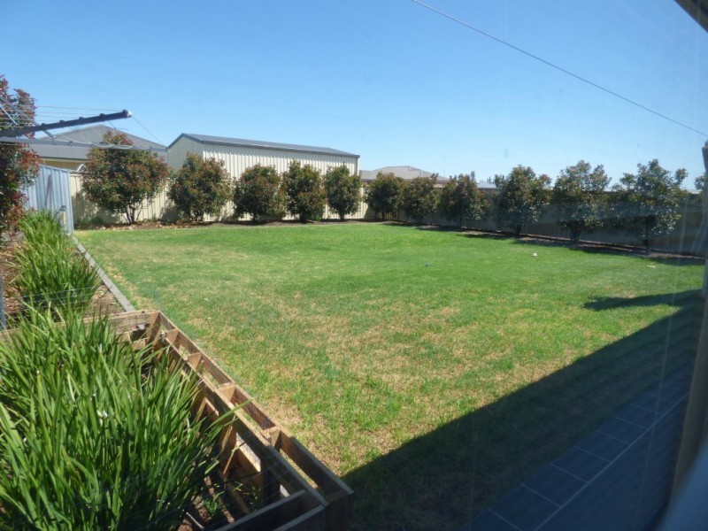 Griffith NSW 2680