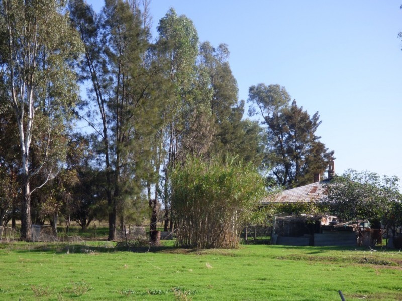 2562 Evans Road, Bilbul NSW 2680