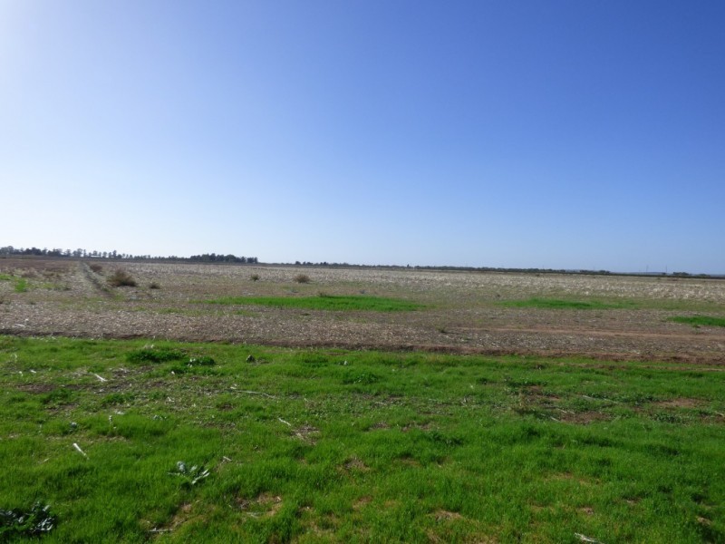 2562 Evans Road, Bilbul NSW 2680